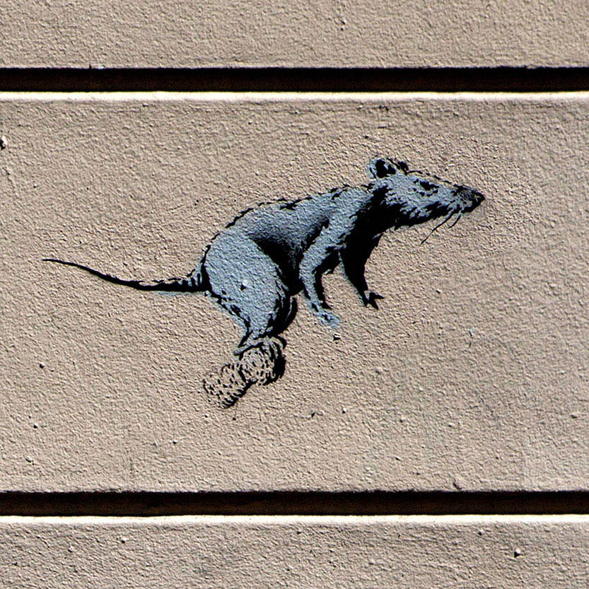 street art rat