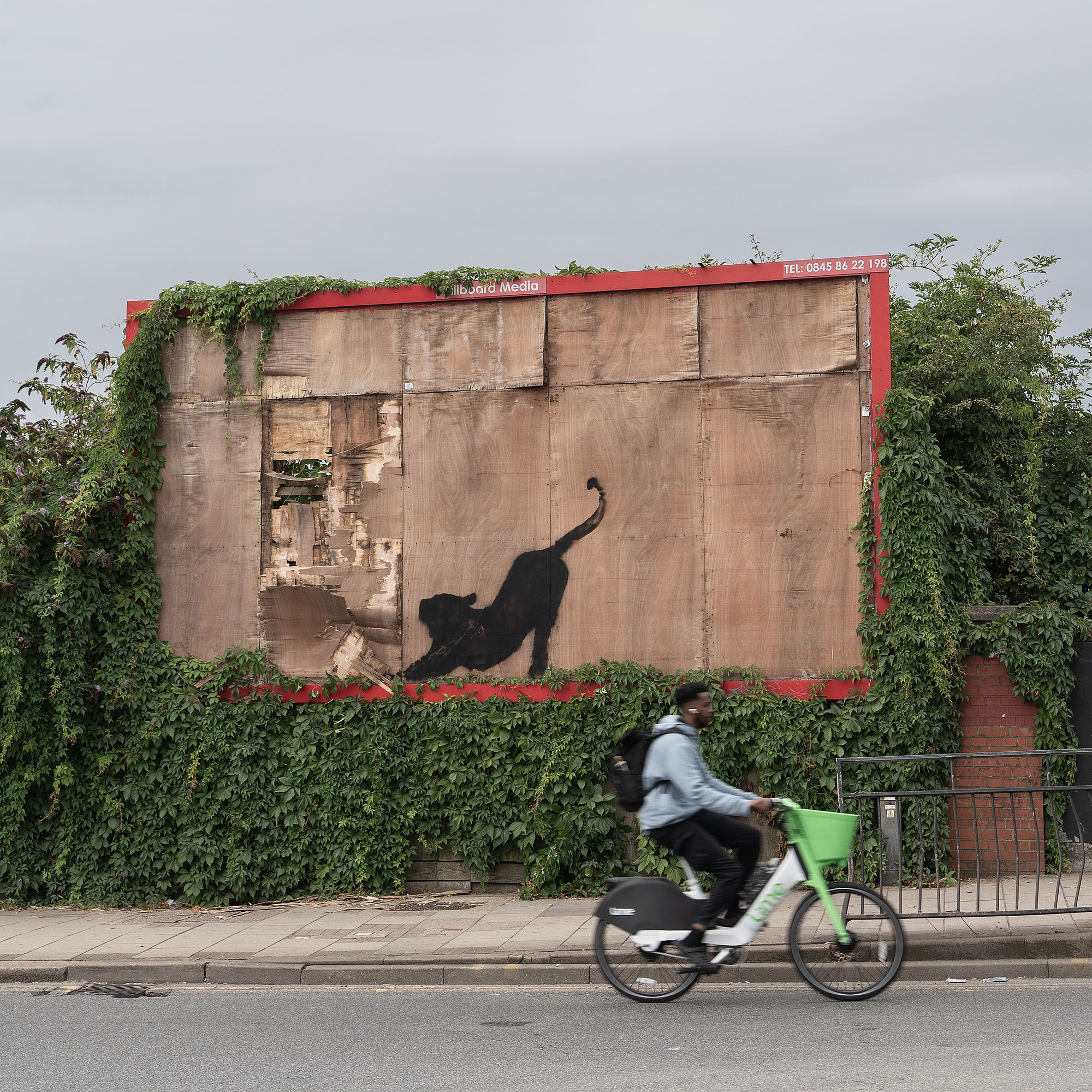 The Fate of the Recent Banksy Animal Series in London